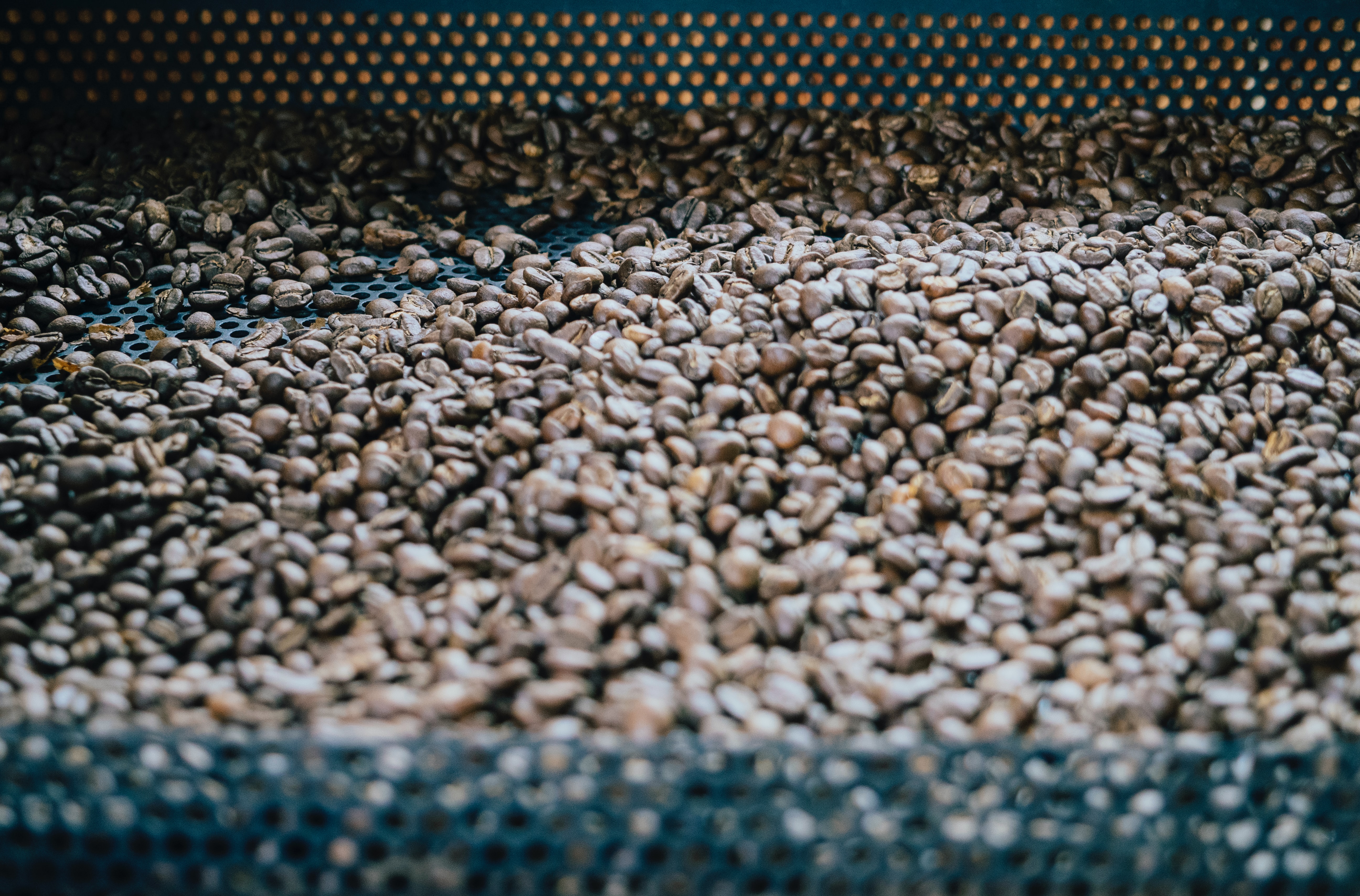 susan-yin-dyIT0XZS8Es-unsplash